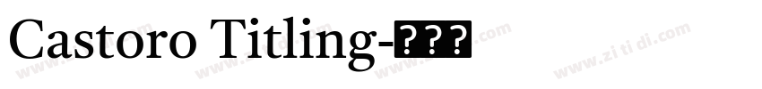 Castoro Titling字体转换